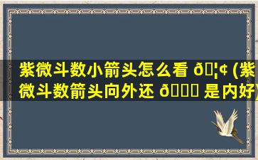 紫微斗数小箭头怎么看 🦢 (紫微斗数箭头向外还 🍀 是内好)
